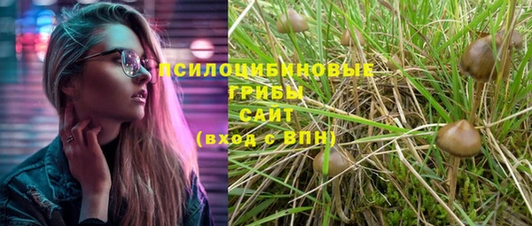 мяу мяу мука Бугульма