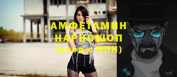 mdpv Бородино