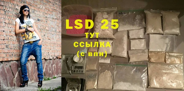 mdpv Бородино