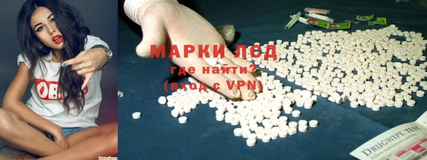 mdpv Бородино