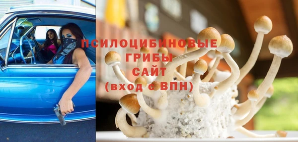 мяу мяу мука Бугульма