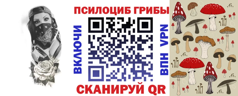 Галлюциногенные грибы Cubensis  ОМГ ОМГ   Армавир 